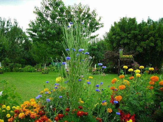 Jardin floral du Chateau de Digeon