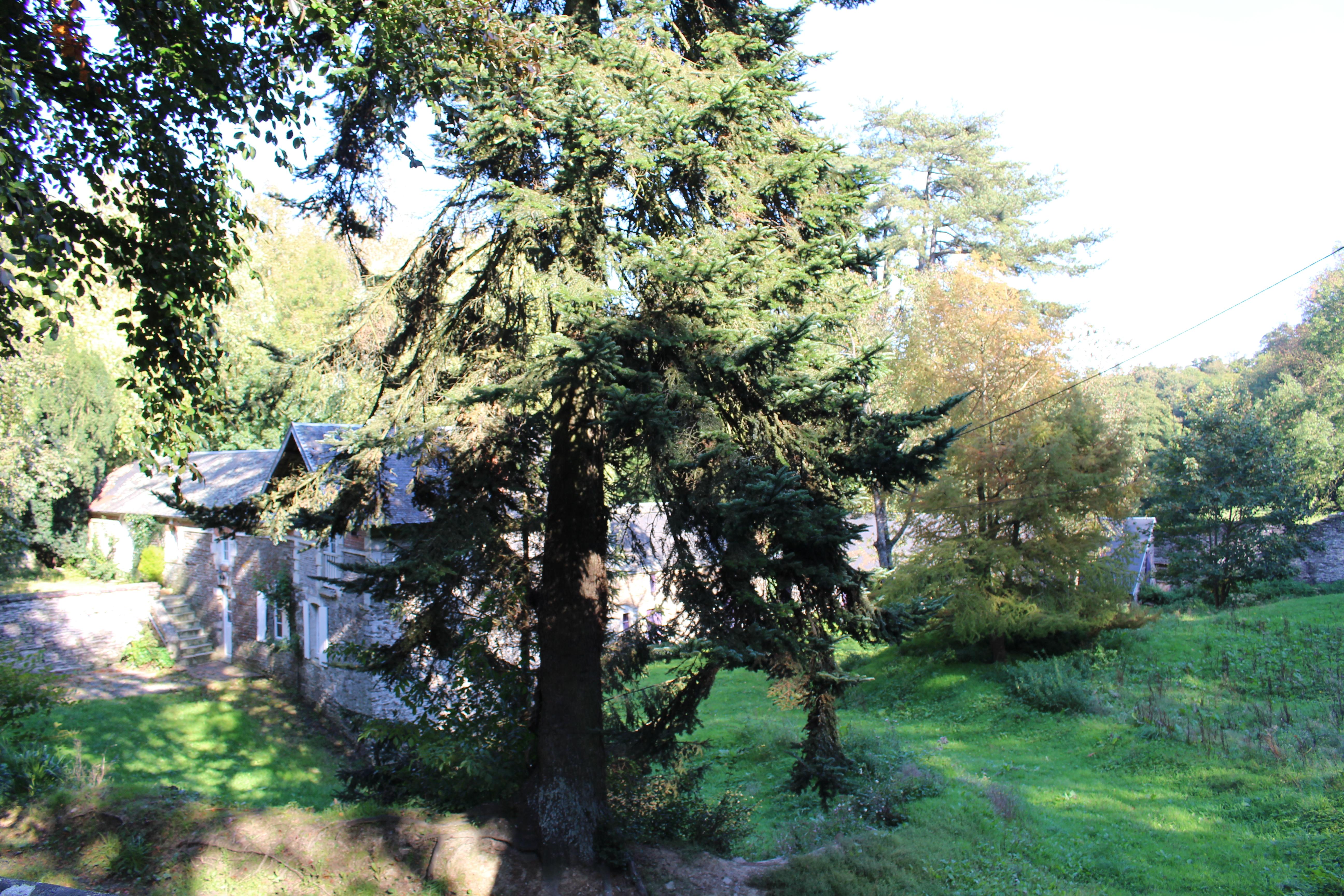 Domaine de Castillon