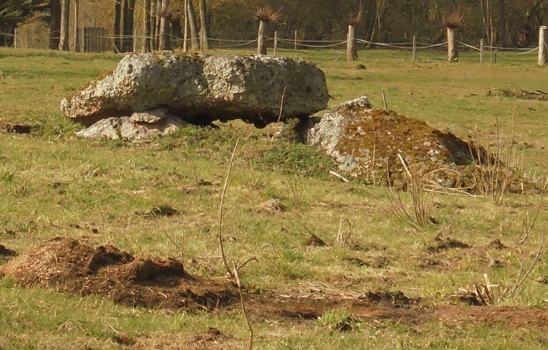 Dolmen de Rugles-Ambenay