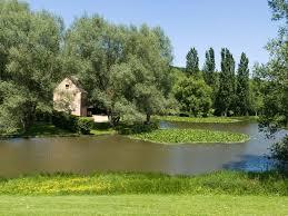 Arboretum du parc de Rouelles