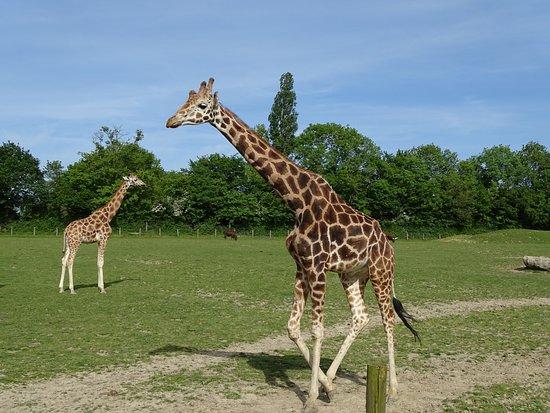 parc zoologique de Lisieux