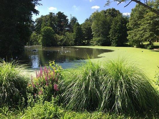 le parc de Rouelles
