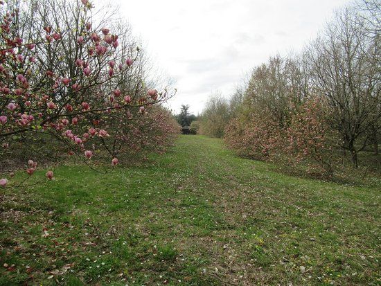Arboretum de La Roche-Guyon