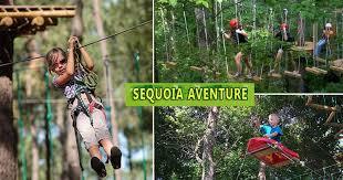 le Sequoia Aventure