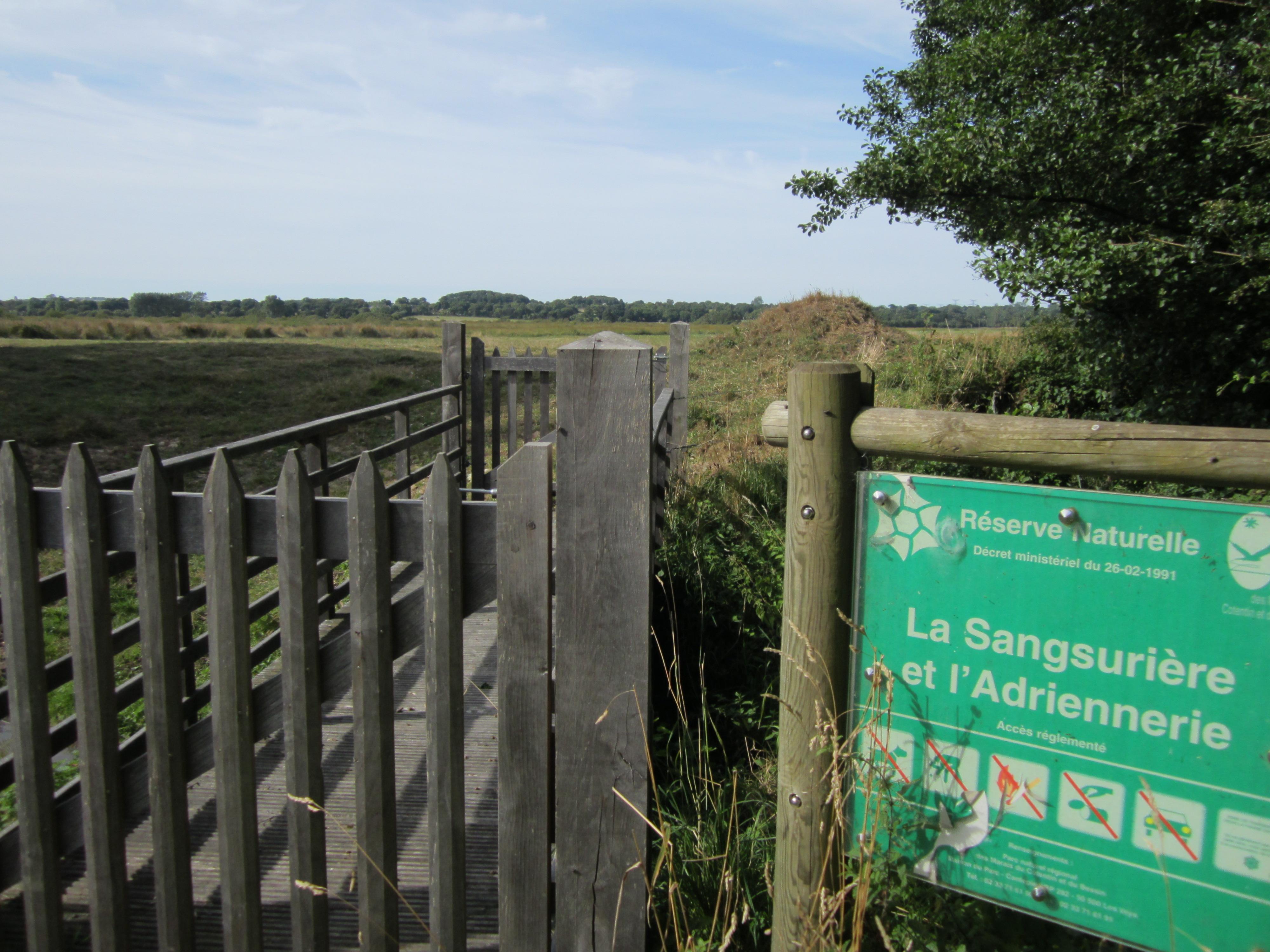 Reserve naturelle nationale des marais de la Sangsuriere et de l'Adriennerie