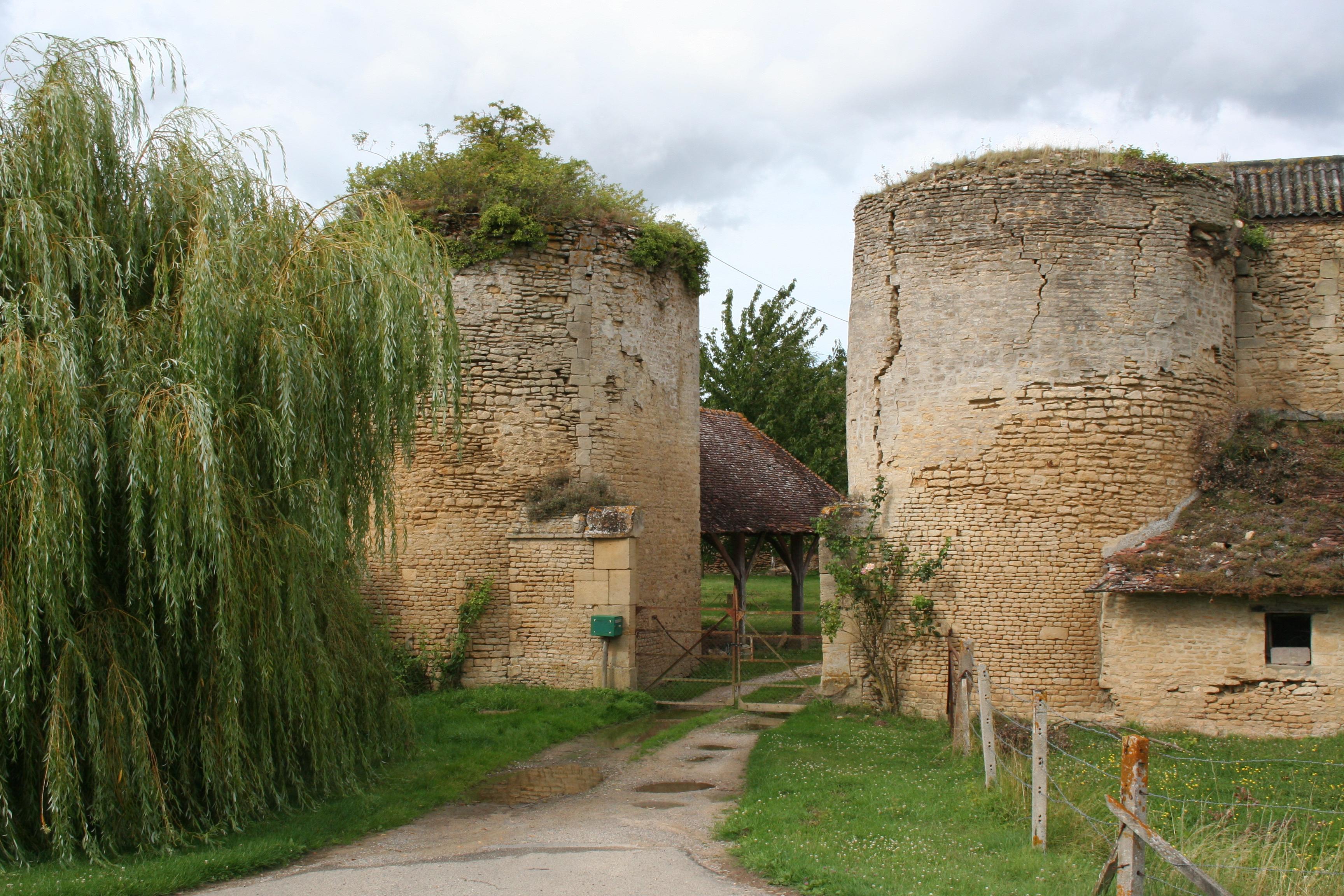 Chateau-fort de Courcy