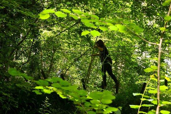 Beauregard Aventure Sud