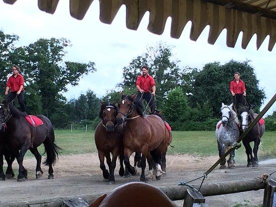 Ferme du Cheval de Trait-La Michaudière