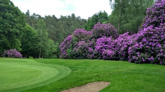 Golf du Champ de Bataille