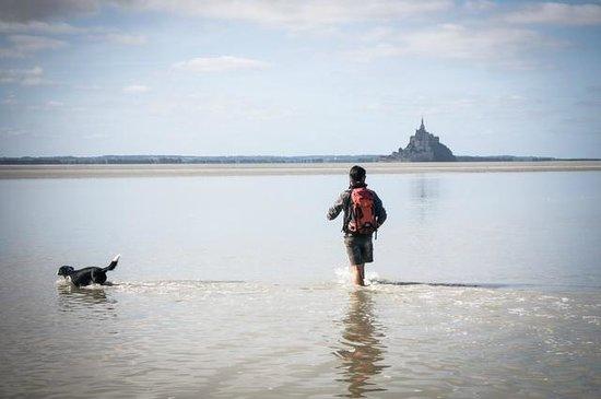 A Gambettes en Baie Tours