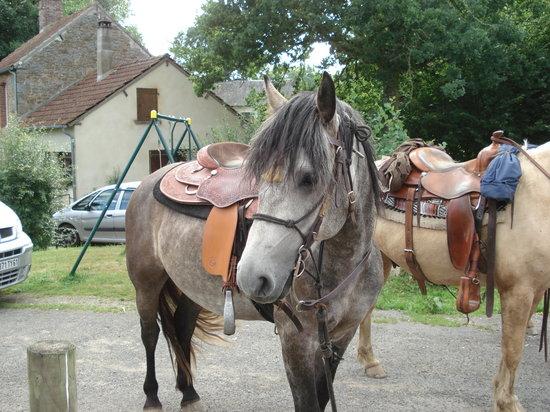 Reinhill Ranch