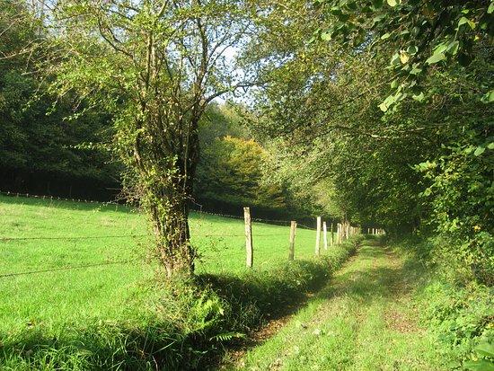 Chemin des Quatre Gues