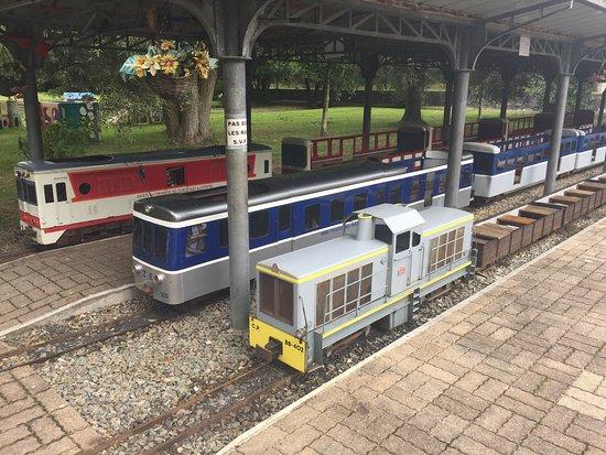 Mini Train des Marais