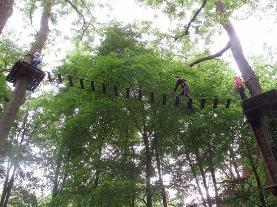 Angiens Accrobranche Aventures