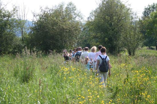 Sentier de l'Anguille