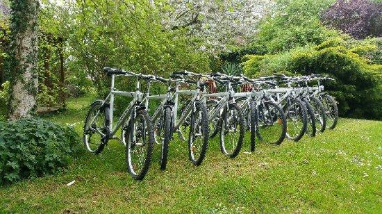 Ornella's Bike School