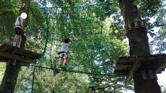 L'etape en foret