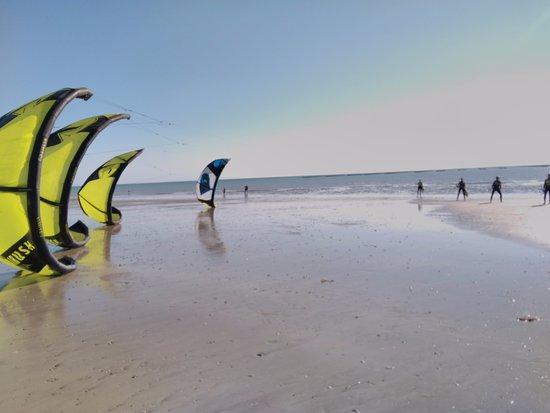 Eden Kite
