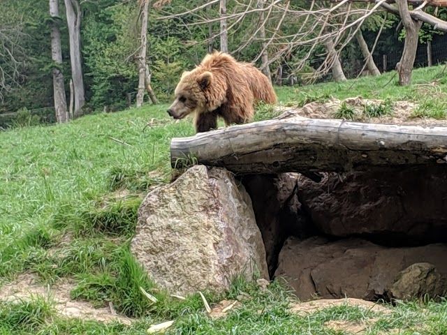 Animal Park Cerza