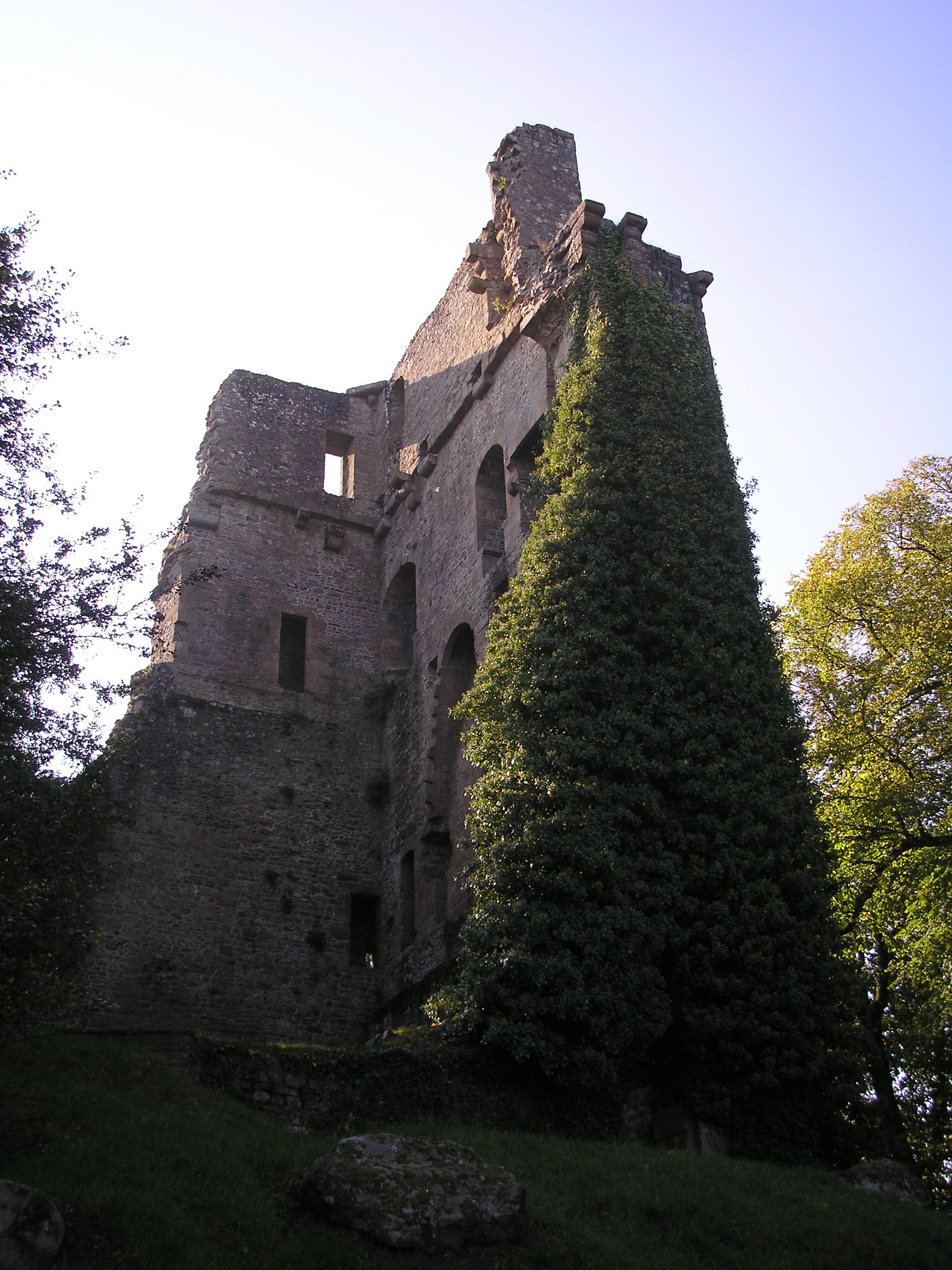 Donjon de Vire