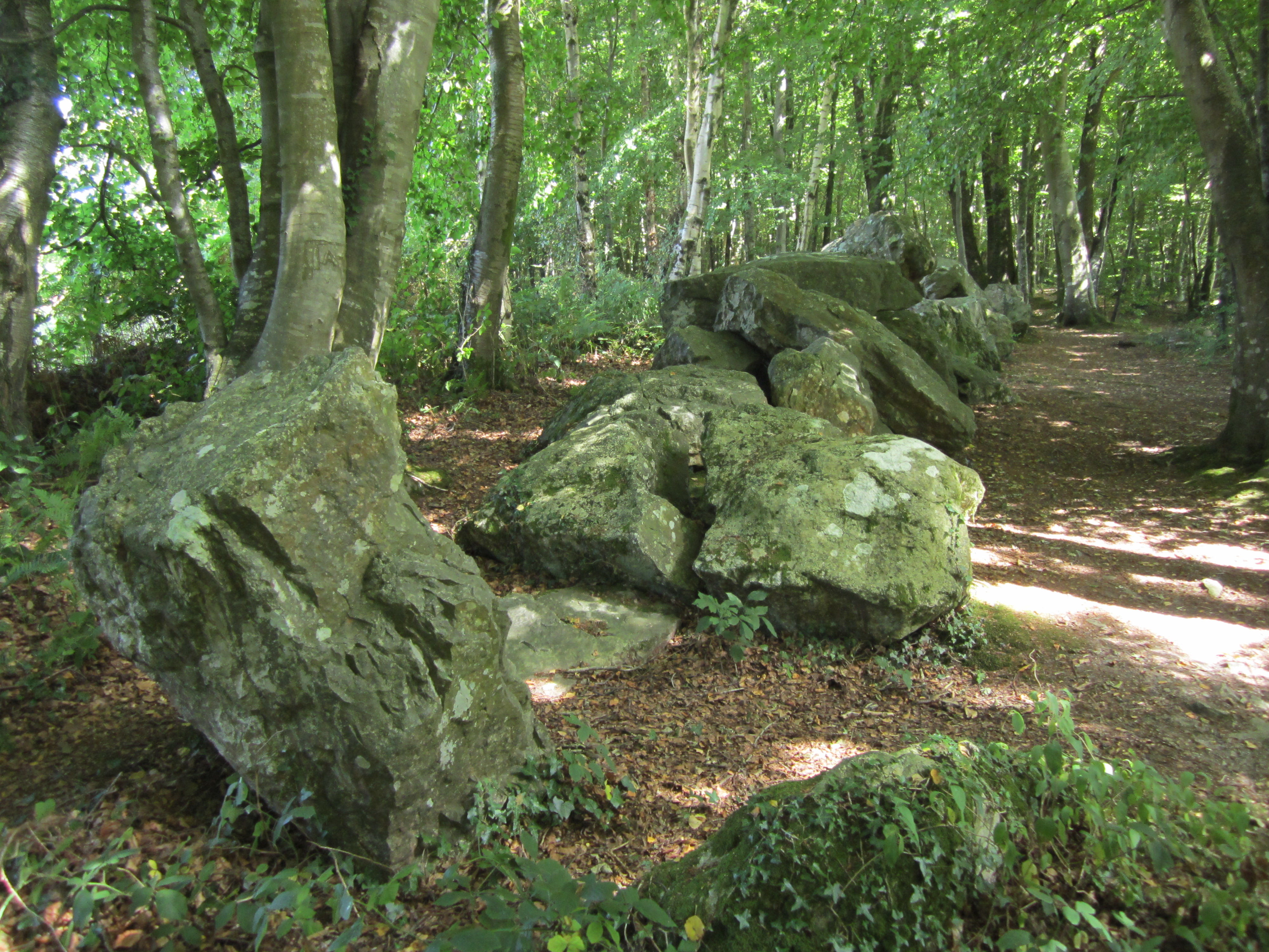 Allee couverte de la Petite Roche