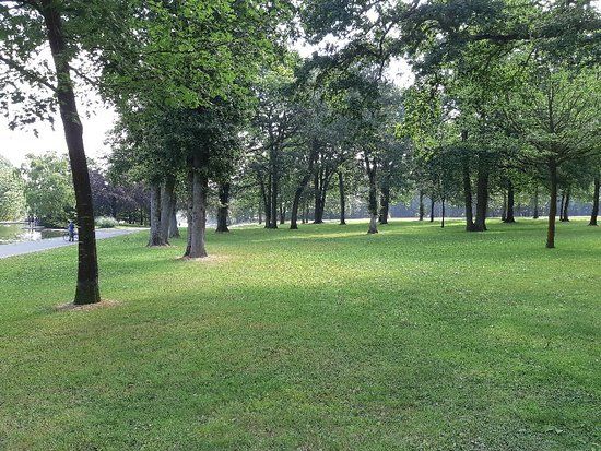 Foret de Montgeon